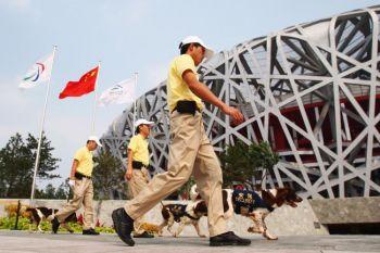 Säkerhetspolisen med sina hundar passerar National Stadium strax föres starten av 2008 års paralympiska spel i Peking, Kina. (Foto: Feng Li/Getty Images)