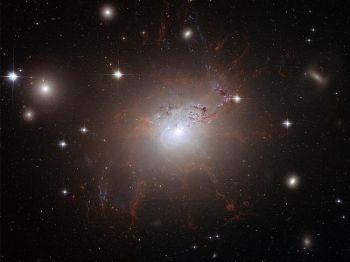 Den här bilden av den enorma, aktiva galaxen NGC 1275 togs med hjälp av en avancerad kamera på teleskopet Hubble i augusti 2006. (Foto: NASA/Esa/Getty Images)