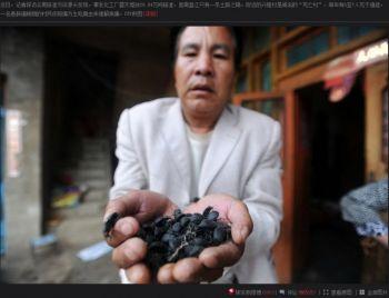 Wang Jianyou, i slutskedet av sin cancersjukdom, äter dagligen fler än 50 insekter för att lindra smärtan. (Bild från 163.com)