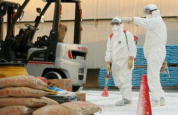 Japanska tjänstemän desinficerar ett hönseri där kycklingar, som misstänks vara smittade med fågelinfluensa, hittades i Toyohashi, Aichiprefekturen i centrala Japan, den 26 januari 2011. (Foto: Jiji Press/AFP/Getty Images)
