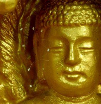 BLOMMOR PÅ EN BUDDHA-STATY: Udumbara har setts blomma på Buddha-statyer. (The Epoch Times) 
