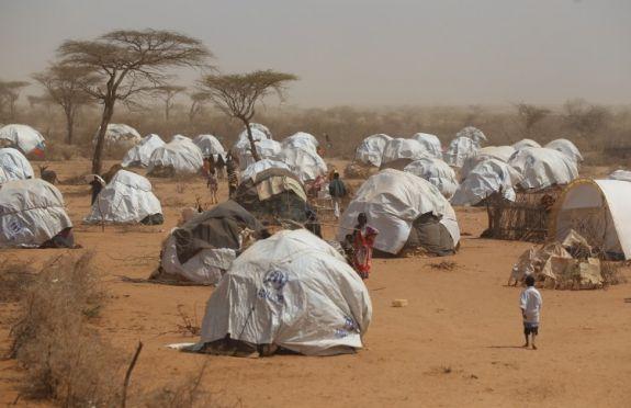 Nyanlända somaliska flyktingar slår läger i utkanten av Dagahaleys flyktingläger som utgör en del av den gigantiska flyktingförläggningen Dadaab, den 21 juli 2011, i Kenya. (Foto: Oli Scarff/Getty Images)