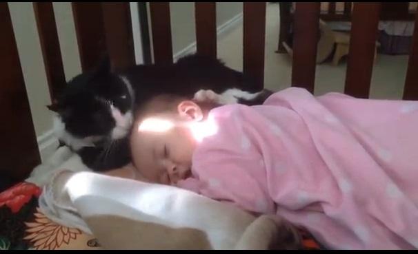Hazel och katten (Skärmdump från video)