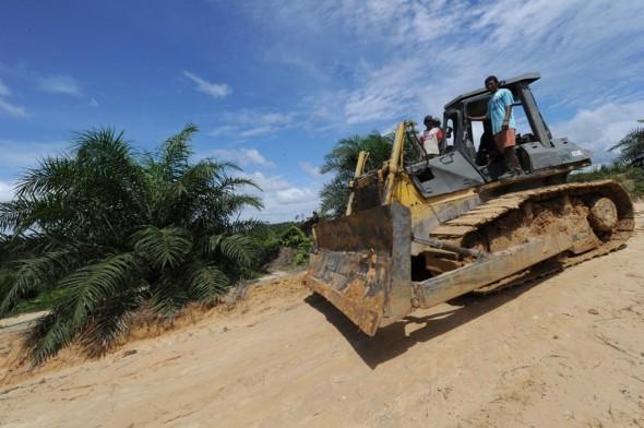 En bulldozer kör den 5 juni vid en nyetablerad palmoljeplantage som planterats på tropisk skogsmark på Borneo, Indonesien. (Foto: Romeo Gacad/ AFP/GettyImages)