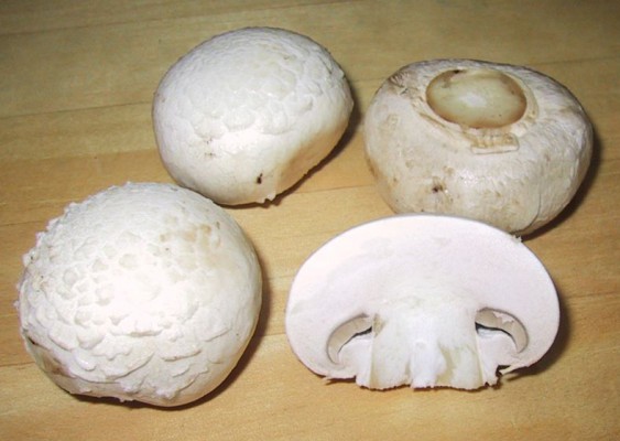 (Foto: wikipedia.se)