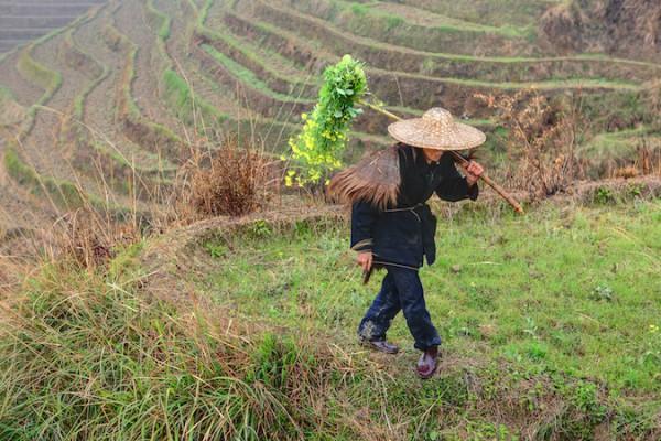 En kinesisk bonde arbetar i sydvästra Kina. Foto: Shutterstock*