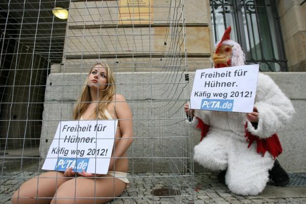 En aktion av PETA i Berlin den 16 januari utanför Jordbruksdepartementet, i protest mot vissa typer av burar för äggvärpande höns. (Foto: AFP PHOTO JOHN MACDOUGALL  
