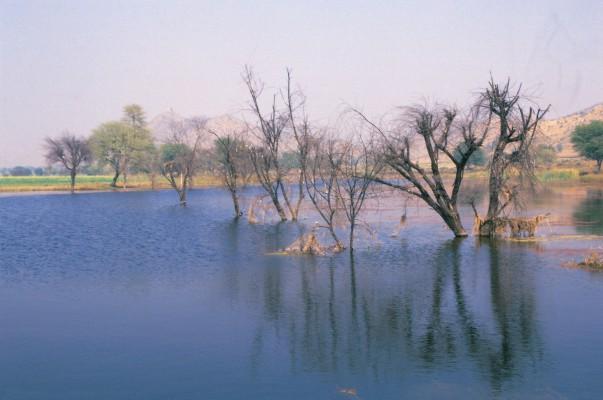 Floden Arvari i Rajasthan, Indien, har fått nytt liv genom hundratals små kontrolldammar, så kallade johader, som byggts utmed flodområdet. (Foto: CSE, New Delhi)