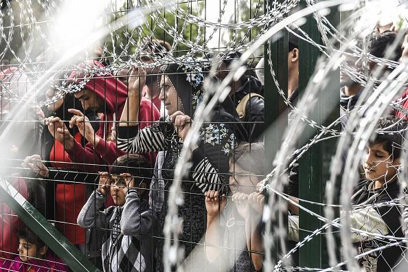 Flyktingar trängs vid den serbisk-ungerska gränsen, nära staden Horgos, den 16 september 2015. I Serbien blir situationen allt mer pressad sedan Ungern stängt sin gräns. Foto: Armend Nimani /AFP/Getty Images)
