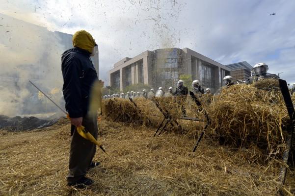 Tusentals bönder från olika delar i Europa kom i dag, måndag, till Bryssel för att demonstrera mot de låga mjölkpriserna. Bönderna visade sitt missnöje med att spruta halm mot polisen. (Foto: ERIC LALMAND/AFP/Getty Images)
