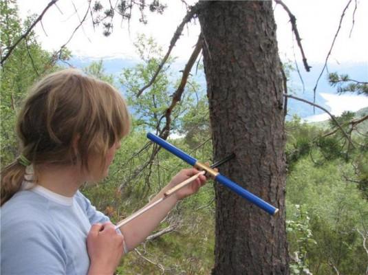 Forskaren Helene Løvstrand Svarva samlar in trädprover i Sogndal, Norge, för att fastställa under vilken tid träden levde. (Terje Thun/NTNU)