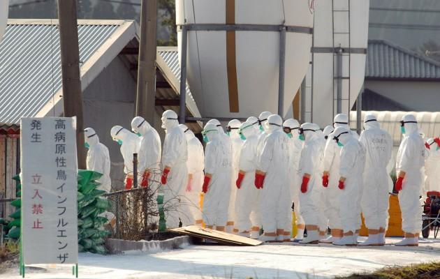 JAPAN, Kiyotake: Medicinska funktionärer anländer till en hönsfarm för att börja med att elda upp 12,000 döda kycklingar i kölvatten av ett nytt utbrott av fågelinfluensan i staden Kiyotake, Japan. Den 13 januari 2007 bekräftade regeringen att ett utbrott hade skett efter det att man hittat 3,900 kycklingar döda på en farm. (Foto: AFP/ Jiji Press)