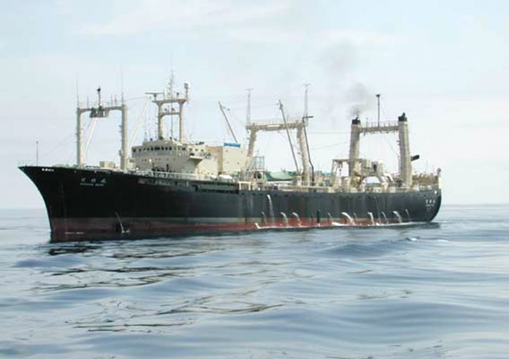 En brand bröt ut på ett japanskt valfångstfartyg Nisshin-Maru i Antarktis den 15 Februari 2007. En av besättningsmännen saknades vid upptäckten. Det finns ingen misstanke om sabotage från miljörättsaktivister. (Foto: AFP / The Institute of Cetacean Research (ICR)