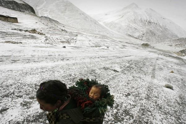 Nojing Kangtsang glaciär i Himalaya regionen i Tibet. På bilden bär en ung tibetansk kvinna sitt barn på ryggen på den 7,191 meter höga glaciaren. (Foto: AFP/Peter Parks)
