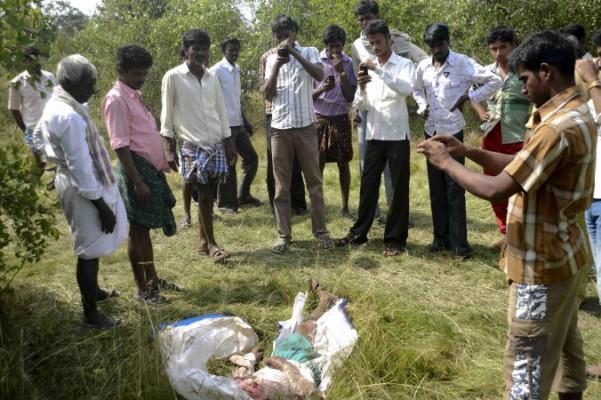 Åskådarna tar bilder med mobilen på en indisk bondes kropp. Han blev dödad av en tiger nära staden Mysore den 4 december. (Foto: STR / AFP Getty Images)