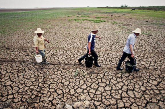Wuhan lider av den värsta torkan på 60 år. (Foto från en källa inne i Kina)
