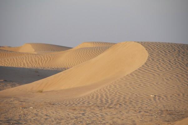 Sanddynor i Rub al Khali (”den tomma fjärdedelen”) på Arabiska halvön, världens största sandöken. (Foton: Maria Hellström/Epoch Times)
