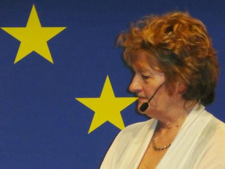Annika Ström-Melin, Europakorrespondent, var med om EU:s toppmötet om Rysslands annektering av Krim. (Foro: Barbro Plogander / Epoch Times)
