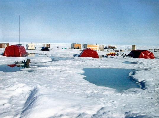 Flera av Nordpolens vattensamlingar torkar ut helt under polarsommaren. Det skapar problem för hela det arktiska ekosystemet, enligt kanadensiska forskare. (Foto: AFP / Saint-Petersburg arctic and antarctic museum)