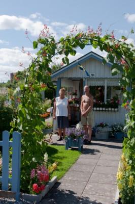 i Alnängarnas koloniområde har paret Pettersson en koloniträdgård på 245 kvadratmeter, lätt att komma ihåg eftersom lotten också har nr 245. (Foton: Maria Hellström / Epoch Times)
