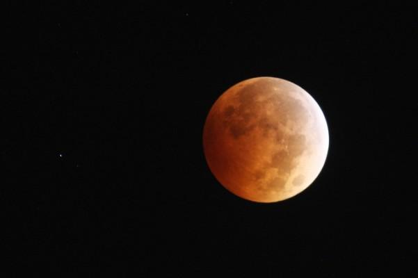 En total månförmörkelse den 8 oktober 2014 fick månen att bada i röd färg, till följd av att ljus reflekteras från jorden. Bilden är tagen i Los Angeles, Kalifornien. Den röda månen verkar vara 5,3 procent större än förra gången fenomenet hände den 15 april 2014, då detta hände direkt efter perigeum, då månen kommer närmast jorden i dess bana. (Foto: David McNew / Getty Images)
