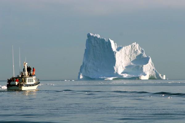 Klimatförändringarna kan orsaka att snötäckta områden krymper, liksom havsisarna både vid Nord- och Sydpolen. Smältande isar vid polerna leder till att havsytan stiger med upp till 59 centimeter. (Foto: AFP/Marcel Mochet)
