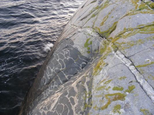 I Kosters nationalpark finns detta konstverk som naturen skapat. På geologernas språk är det kuddformade basiska inneslutningar i gång av hybridbergart. (Foto: Thomas Eliasson, SGU)

