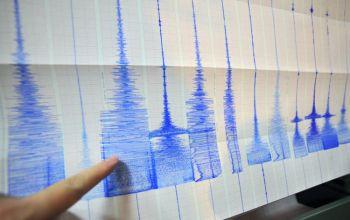 Seismiska data på en utskrift på Taipeis centrala väderbyrå den 4 mars, efter att en jordbävning med en magnitud på 6,4 skakat södra Taiwan, nära öns näst största stad, Kaohsiung. (Foto: Sam Yeh/AFP/Getty Images)