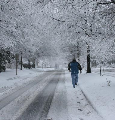 25 februari, en man promenerar på gatan under en snöstorm i Manassas, Virginia (Foto: AFP/Karen Bleier)