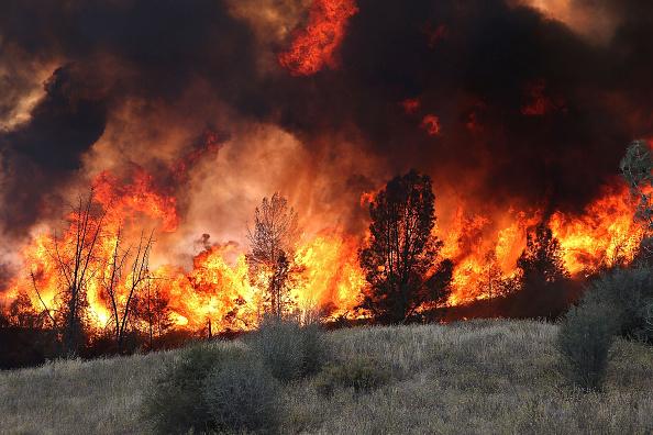 Okontrollerbara skogsbränder härjar i ett uttorkat Kaliforninien. Ett stort antal människor har blivit tvungna att evakuera. Den här bilden är från en skogsbrand i norra Kalifornien i augusti. Foto: Justin Sullivan/Getty Image