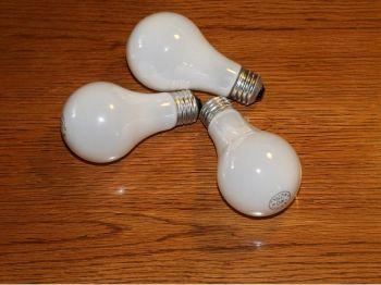 Europeiska unionen förbjuder successivt de traditionella glödlamporna. (Foto: James Fisk / The Epoch Times)