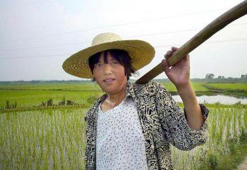 En kvinna står i sitt risfält i byn Wuwei, ett distrikt i den relativt fattiga östra provinsen Anhui. Landsbygdens fattigdom bidrar till den höga självmordsfrekvensen bland kvinnor i Kina. (Foto: ELISABETH ZINGG/AFP/Getty Images)