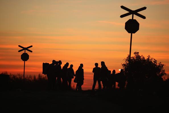 Migranter på väg genom Serbien till ett EU som inte kan komma överens om hur de ska tas emot och vart de ska ta vägen. Gårdagens EU-möte kom fram till att ta emot 160 000 flyktingar men inte hur de ska fördelas. Foto: Christopher Furlong/Getty Image
