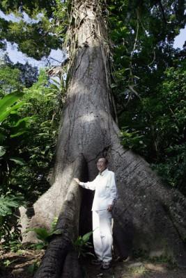 FN-chefen Ban Ki-moon på besök i botaniska trädgåden vid Emilio Goeldimuseet i Amazonas, Brasilien den 13 november 2007. Bans rundresa i Sydamerika och Antarktis är en förberedelse för ett toppmöte i Bali i december med syfte att samla alla länder kring ett nytt klimatavtal när Kyotoavtalet löper ut 2012. (Foto: AFP/Mauricio Lima)