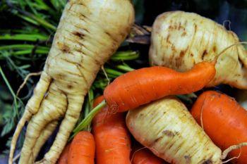 Så krokiga och felväxta grönsaker tilläts på EU marknaden från den 1 juli. (Mychele Daniau/AFP/Getty Images)