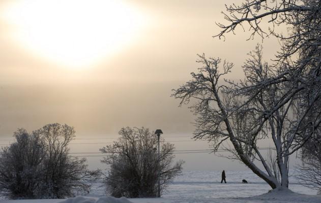 En man rastar sin hund i iskylan i Östersund. (Foto: AFP/Jonathan Nackstrand)