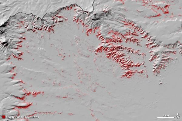 Platser där det sannolikt finns mycket fossil – indikerat av de röda markeringarna – i Great Divide Basin. (Bearbetad karta från Anemone et al., 2011, av Robert Simmon)