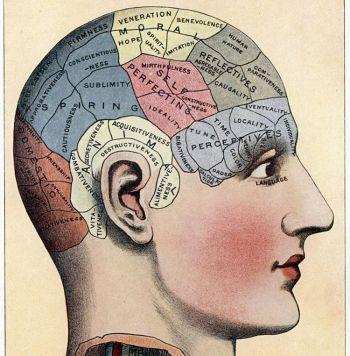Medan många tror att minnet sitter inuti hjärnan föreslår bevis att våra sinnen faktiskt existerar inom ett morfogenetiskt fält. (Photos.com)