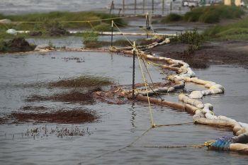 Olja täcker växter och oljeabsorberande material medan hård vind och höga vågor gjorde att arbetet med att rensa upp på stranden i Port Fourchon, Louisiana, ställdes in den 7 juli 2010. (Foto: Joe Raedle/Getty Images)