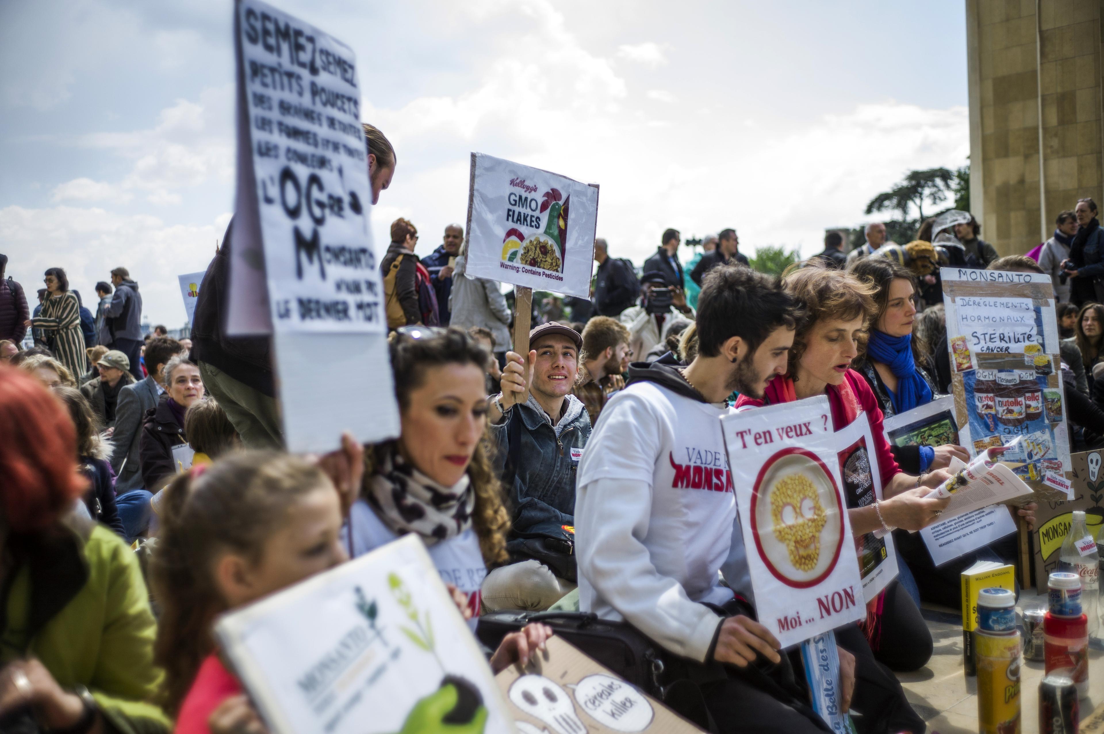 Demonstrationer i Paris den 25 maj 2013 mot genmodifiering (GMO) och den amerikanska tillverkaren av GMO-grödor Monsanto.
(Foto: Fred Dufour /AFP/Getty Images