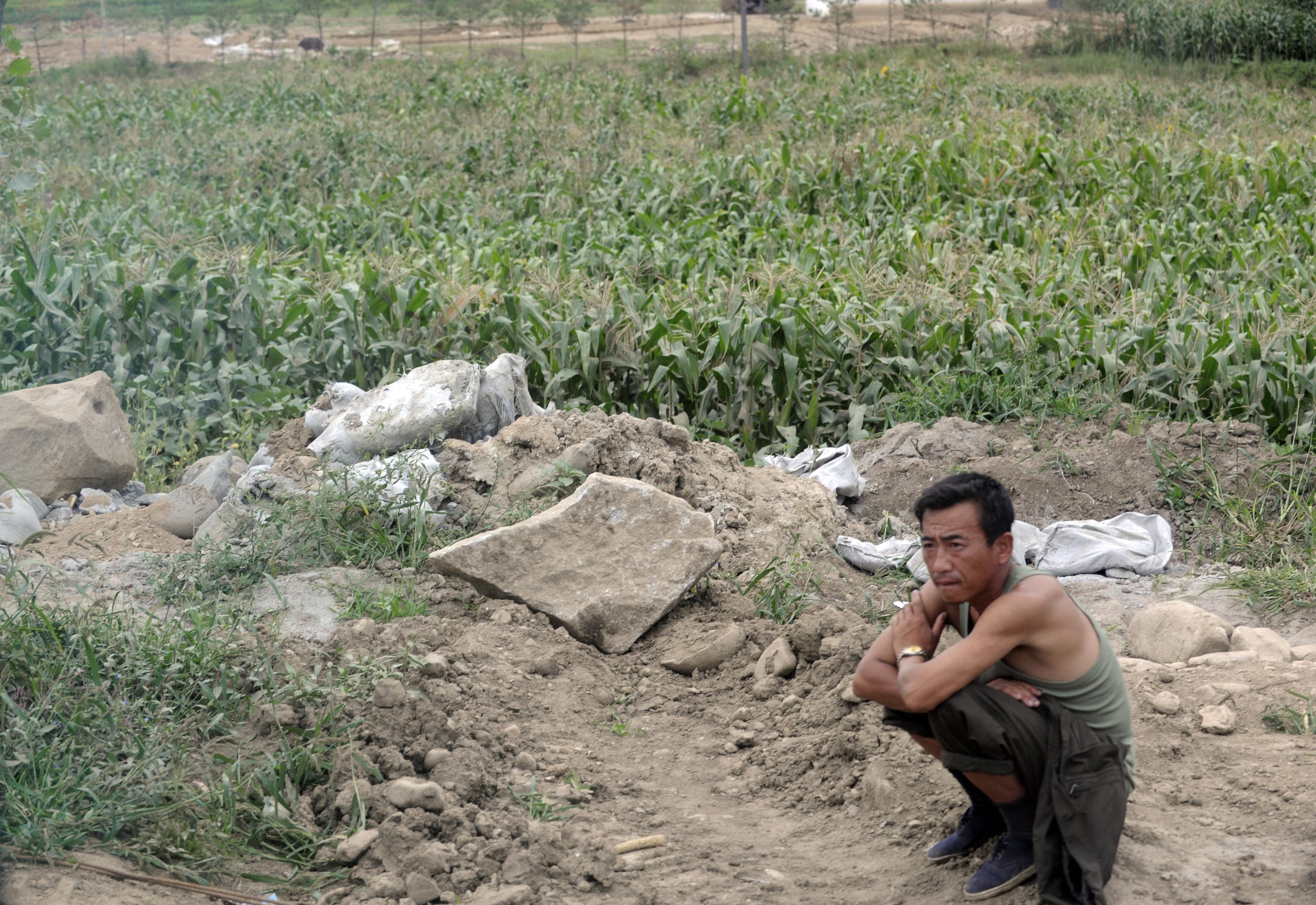 En nordkoreansk bonde vilar vid ett fält 2011. Andra nordkoreaner tvingas åka utomlands för att bättra på statens finanser. (Foto: Goh Chai Hin/AFP/Getty Image)