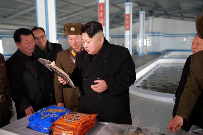 Nordkoreas ledare Kim Jong-un inspekterar en fiskodling. Nordkorea har på senare tid agerat aggressivt mot Kina, som man är helt beroende av, men Kina har än så länge svarat med återhållsamhet.  (Foto: KNS/AFP/Getty Images)