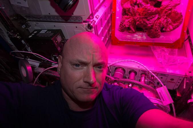 Nasa-astronauten Scott Kelly tog den här selfien med den andra skörden av röd romansallad i augusti 2015. (Foto: Nasa)