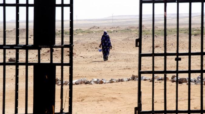 En västsaharisk kvinna vandrar i öknen nära ett flyktingläger i Tindouf, Algeriet. Sverige bör aktivt bemöta de problem som finns kring det av Marocko ockuperade Västsaharas självständighetssträvanden, menar säkerhetsexperten Magnus Norell. (Foto: Dominique Faget/AFP/Getty Images)