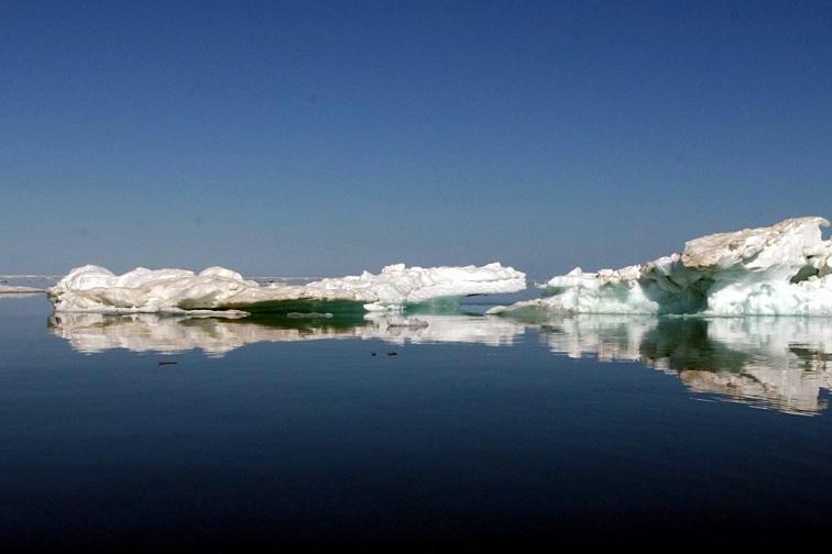 

Vattnet i Norra ishavet har blivit allt mer försurat de senaste decennierna, enligt en ny studie. I förlängningen påverkas hela ekosystemet.  Foto: Laura Rauch/AP/TT                                                                                        