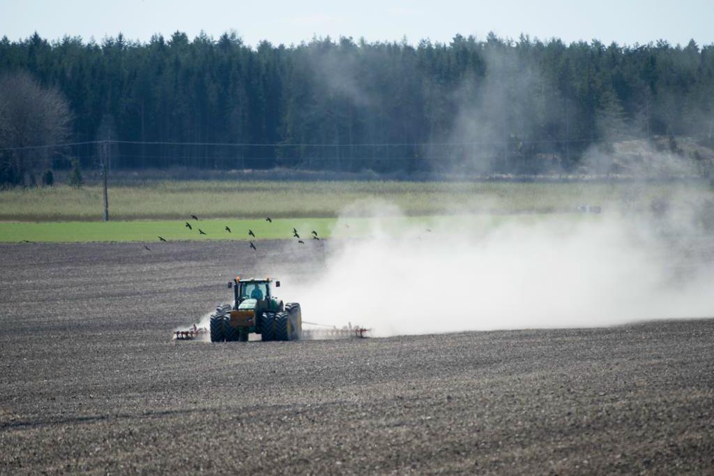 

Det går bättre ekonomiskt för det svenska lantbruket, enligt Lantbruksbarometerns vårsiffror. Foto: Fredrik Sandberg / TT-arkivbild                                            