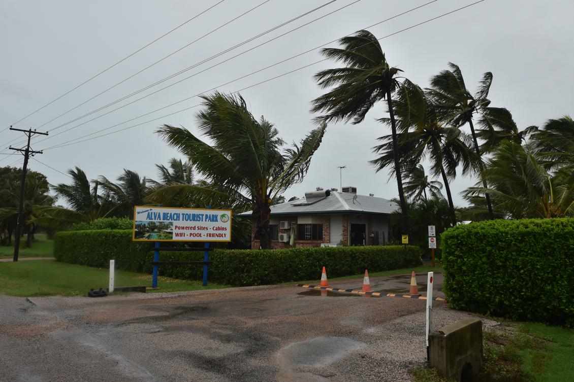 Det blåser rejält bland palmerna i Ayr, Australien. Foto: Peter Parks /AFP/Getty Images