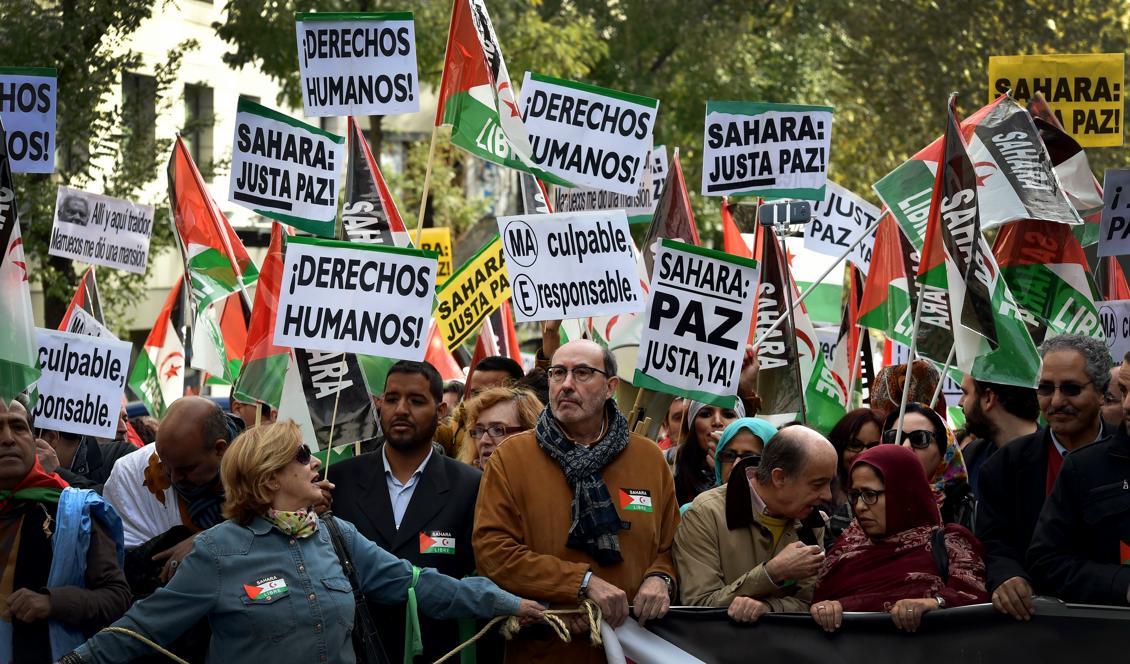 
Aktivitster i Madrid demonstrerar för ett självständigt Västra Sahara. Både Spanien och Marocko kräver äganderätt över landet. Foto: Gerard Julien/AFP/Getty Images                                            