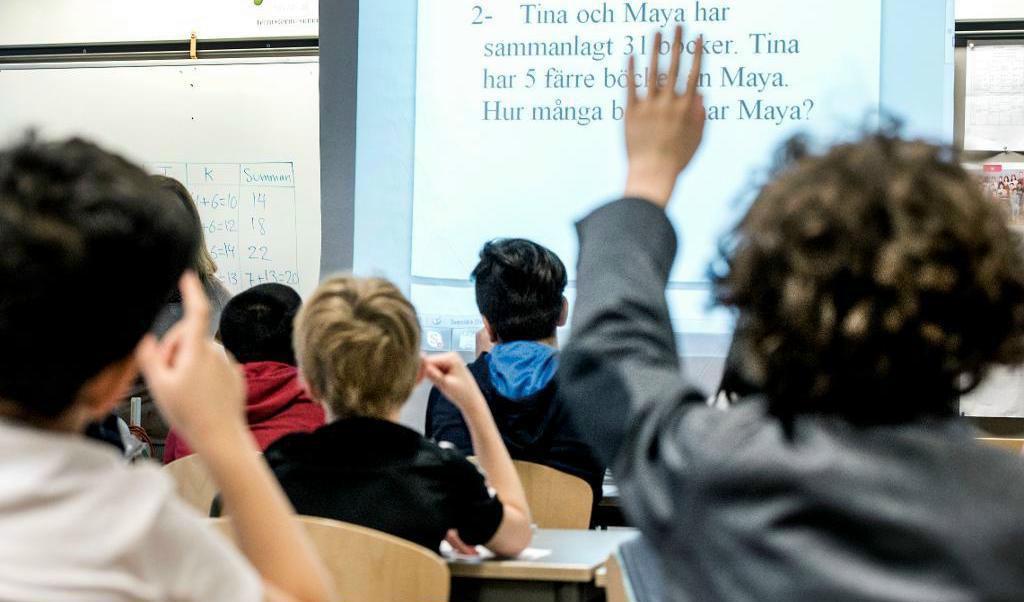 
Det gick bättre för de svenska eleverna i den senaste omgången av Timss. Bäst gick det för dem med höga betyg. Foto: Lars Pehrson /SvD/TT-arkivbild                                            