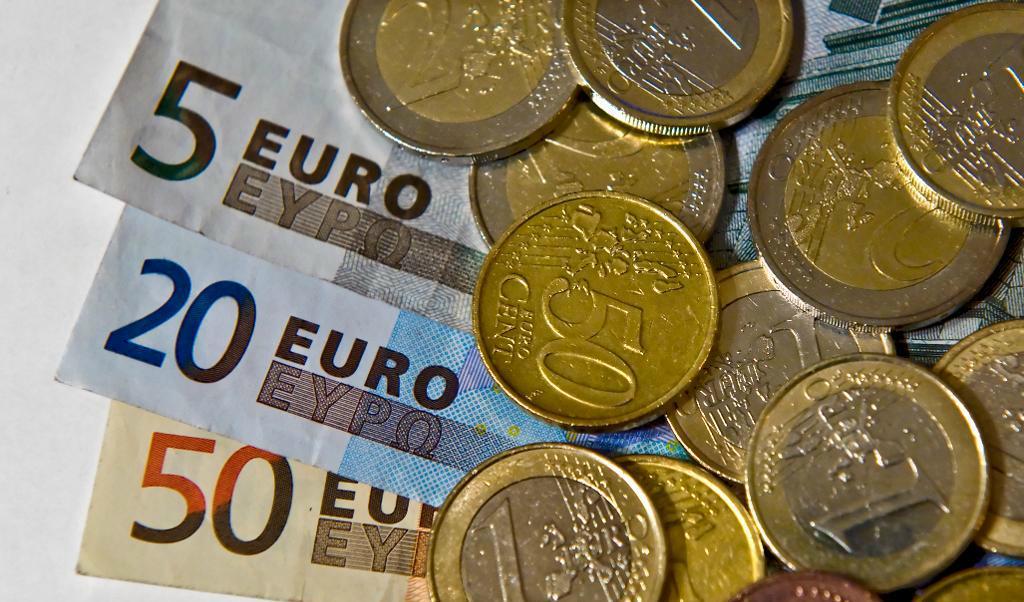 
Euro. Foto: TT                                            